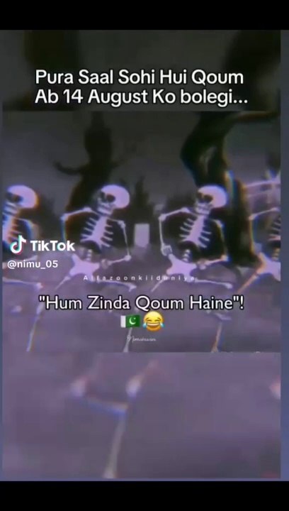 VID_20240808182818