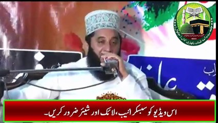 Allama Pee Syed Faiz Ul Hassan Shah