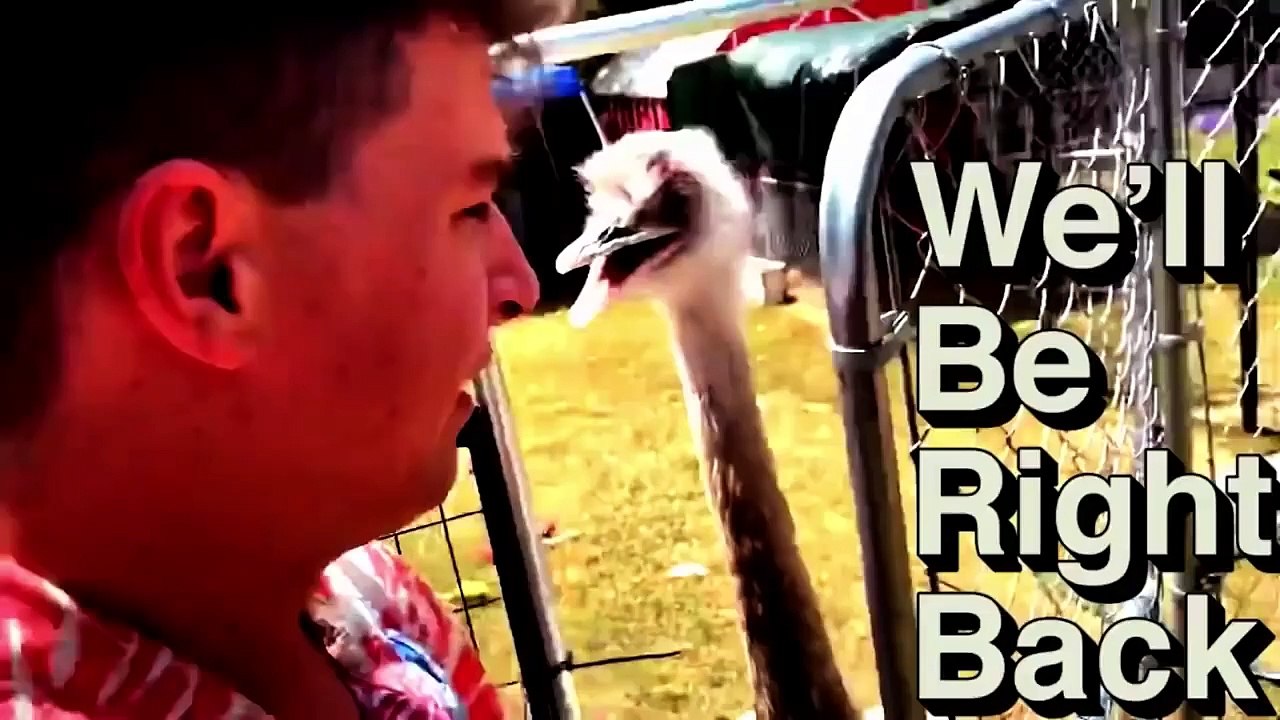 BEST MEMES COMPILATION - 100% LOSE  Try Not to LAUGH Challenge - Dank Memes Compilation 2021