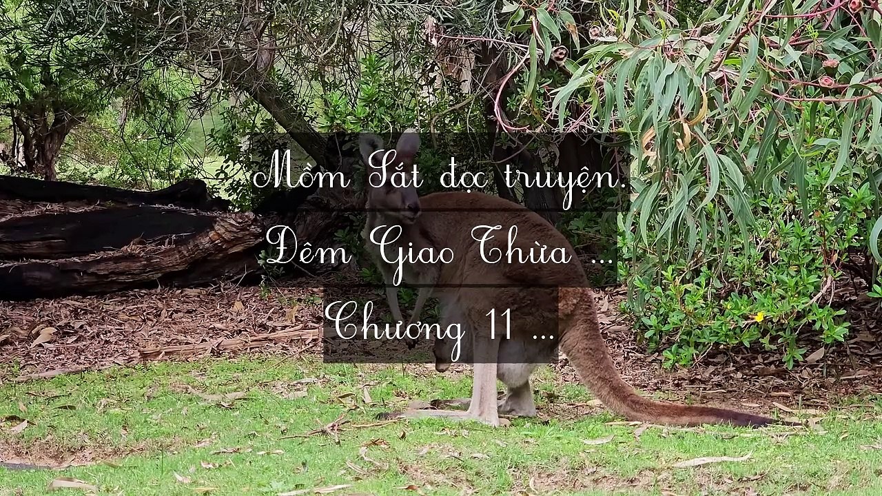 Mới 2024 Chương 10-19: Đêm Giao Thừa