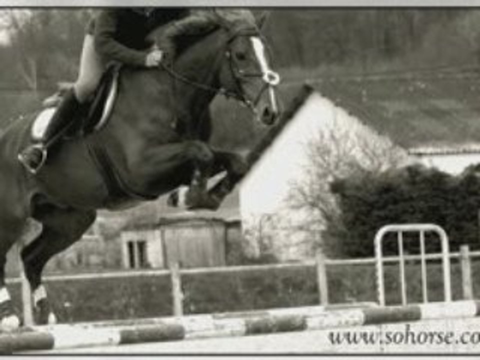 Photonos