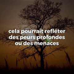Rêver  de loup : Interprétation et Signification