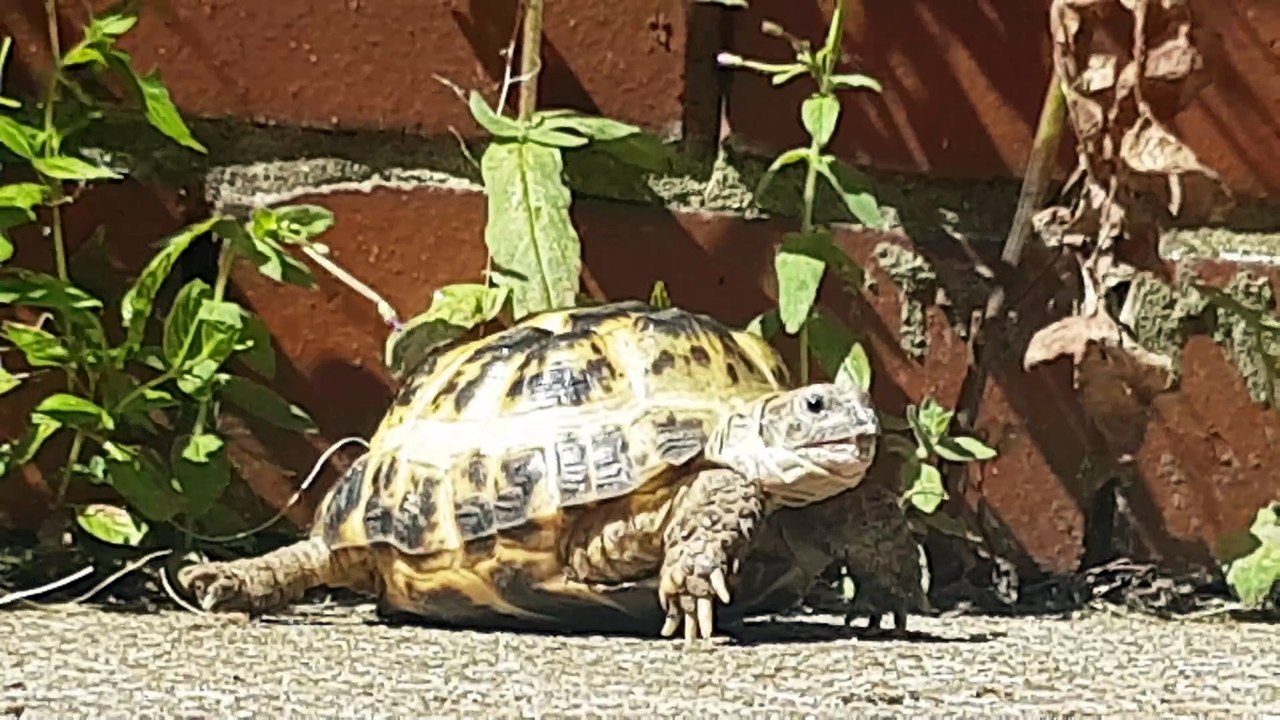 Loving the sun #МистерБрюси