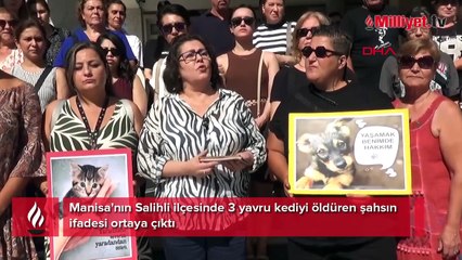 İnfial yaratan görüntüyü böyle savundu! 3 yavru kediyi mutfağına girdiği için öldürmüş