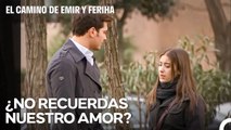 ¡Ya Era Hora De Que Tuviéramos Una Confrontación! - El Camino de Emir y Feriha