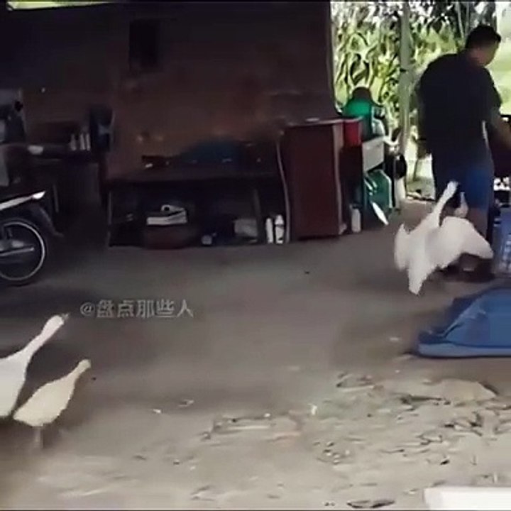 Rasakan Ini