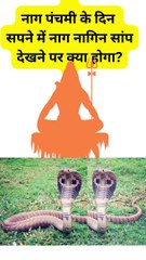 नाग पंचमी के दिन  सपने में नाग नागिन सांप देखने पर क्या होगा