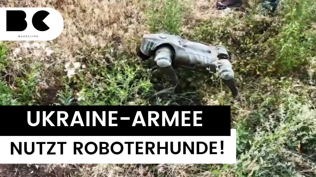 Personalmangel: Ukraine setzt wohl auf Roboterhunde!