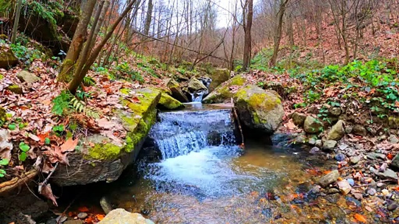 7211161-uhd_3840_2160_30fps