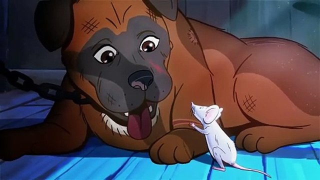 RSPCA - no animal deserves cruelty