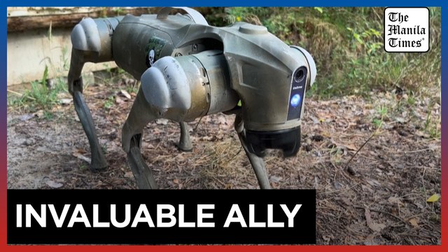 Robot dogs headed for Ukrainian frontlines could 'save lives'