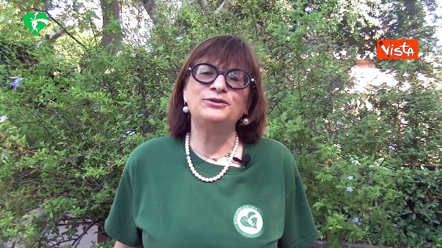 Palanza (Bioparco Roma): Orso Kuma nato libero, siamo contenti di riportarlo in ambiente naturale