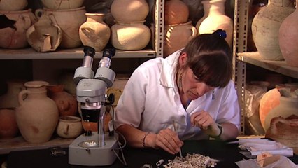 Dark Rituals of the Phoenicians