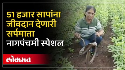 Télécharger la video: वनिताताई यांनी धोका पत्‍कारून पकडले मोठे मोठे आतापर्यंत 51 हजार जहाल विषारी साप....