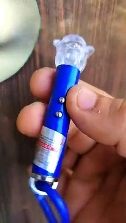 Prank With Lizard
