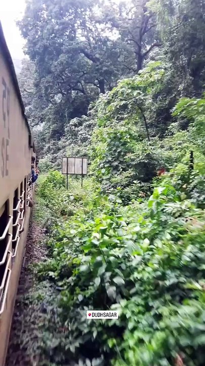 One of the most Beautiful waterfall in India Dudhsagar #new #today #viral #trending #beautiful #waterfall #india #dudhsagar
