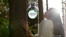 Iklan Indosiar HD HERBAL ESSENCE SHAMPOO Tahun ( 2024 )