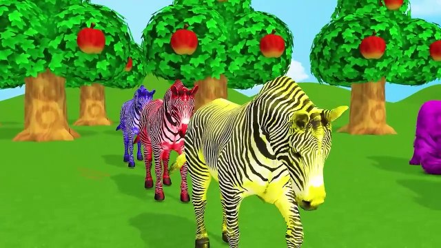 Paint & Animals Duck, Cow, Gorilla, Lion, Chicken, Elephant, Fountain Crossing, Turtle Cartoon Game, Cartoons Drama