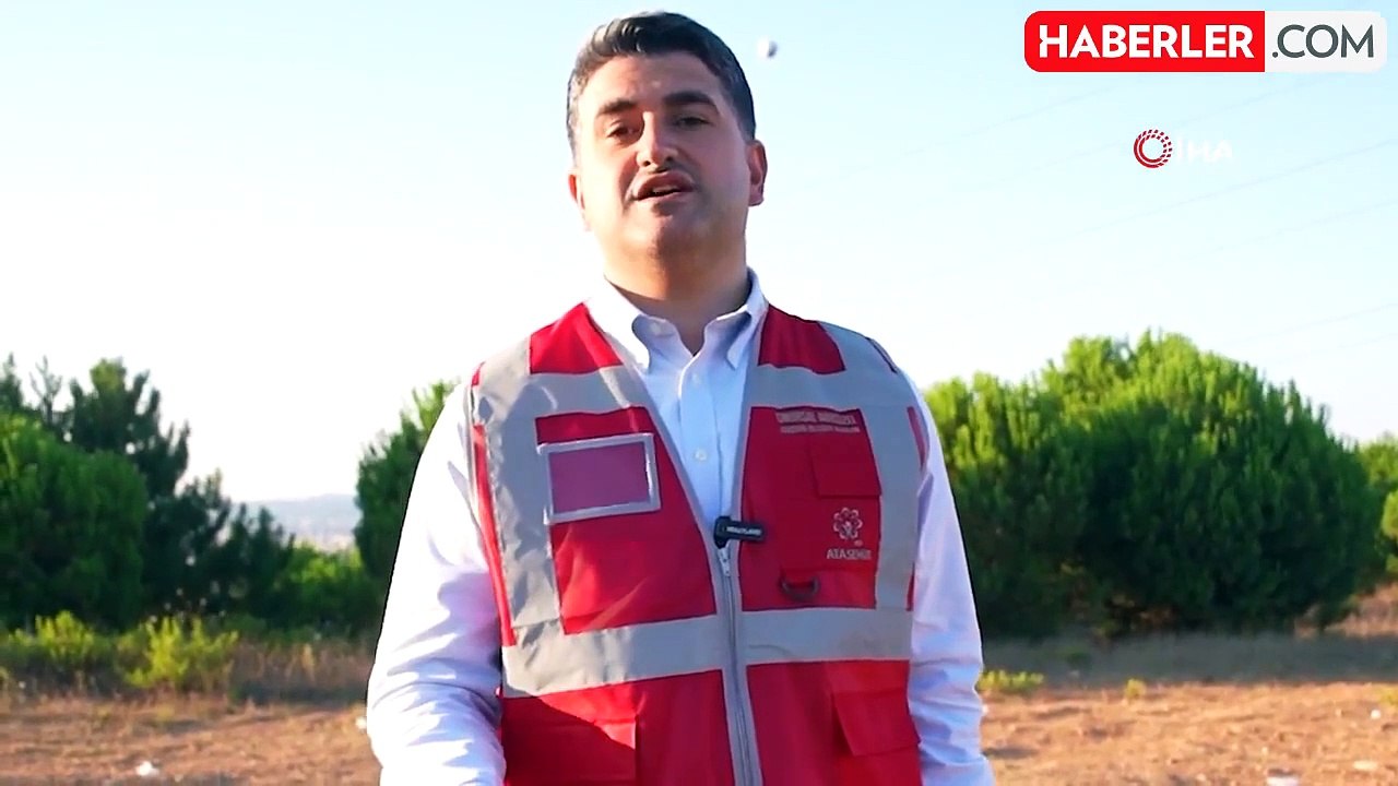 Sokak hayvanlarına yönelik 80 bin metrekarelik yeni rehabilitasyon merkezi kuruluyor