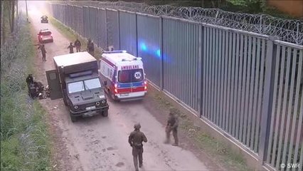 Frontera bielorruso-polaca: cruces ilegales de migrantes