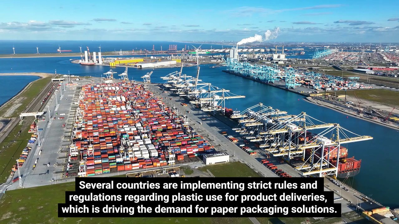 Global Pulp and Paper Processing Chemical Market_ Trends, Growth Drivers, and Forecast (2024-2034)