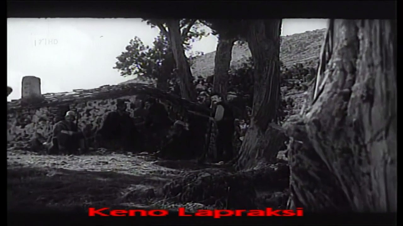 Yjet e Neteve te Gjata