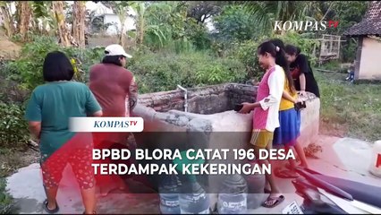 Alami Kekeringan, BPBD Catat 196 Desa di Blora Terdampak