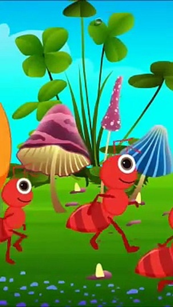 ⁣Four Ants.
