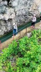 *اپنی ہر صبح کا آغاز خوبصورت تلاوتِ قرآن مجید کے ساتھ کیجیئے*