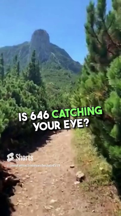 646 Angel Number: Manifest Material Abundance! 