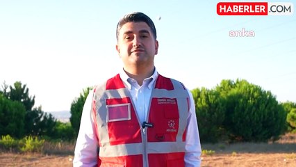 İstanbul'da Sokak Hayvanları İçin Dev Proje