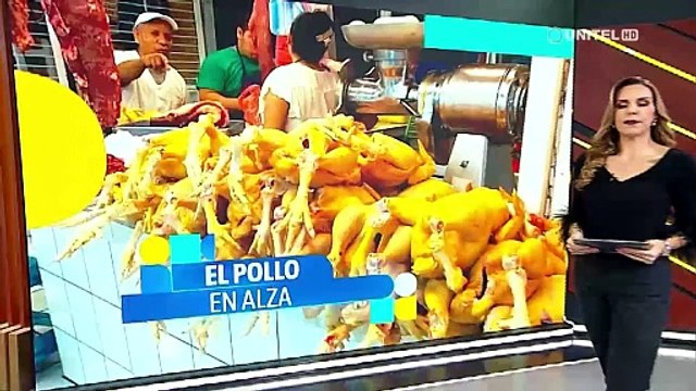 ​Falta de granos trastoca el precio del kilo pollo que se eleva a Bs 19 en mercados de La Paz y Cochabamba