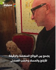 عطر دولتشي آند جابانا للكلاب يثير جدلاً.. رفاهية للحيوانات أم إساءة؟