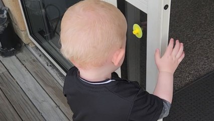 Laugh out loud: Baby thinks fidget is a nipple and moves on