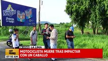 Motociclista muere tras impactar con un caballo