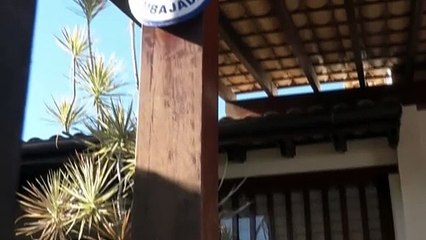 Brasil expulsa a la embajadora de Nicaragua en respuesta a medida similar de Ortega