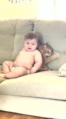 Baby Tries to Sit With Cat on Couch