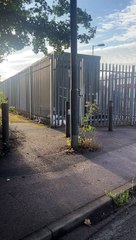 Cows at Lydney Railway Station 🐄