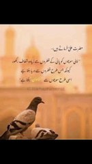 اسی طرح سوچوں سے ایمان بنتا ہے ❤️#trending#viral#shorts#islamic#foryou#dailymotion#share