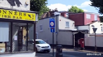 Il safari di Banksy a Londra continua con i pellicani