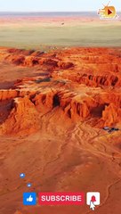 BEST VIDEOS OF BEAUTIFULL BIRDS