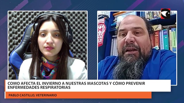 Como afecta el invierno a nuestras mascotas y cómo prevenir enfermedades respiratorias