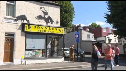 Il safari di Banksy a Londra continua con i pellicani