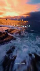 vdm_download_file(1)