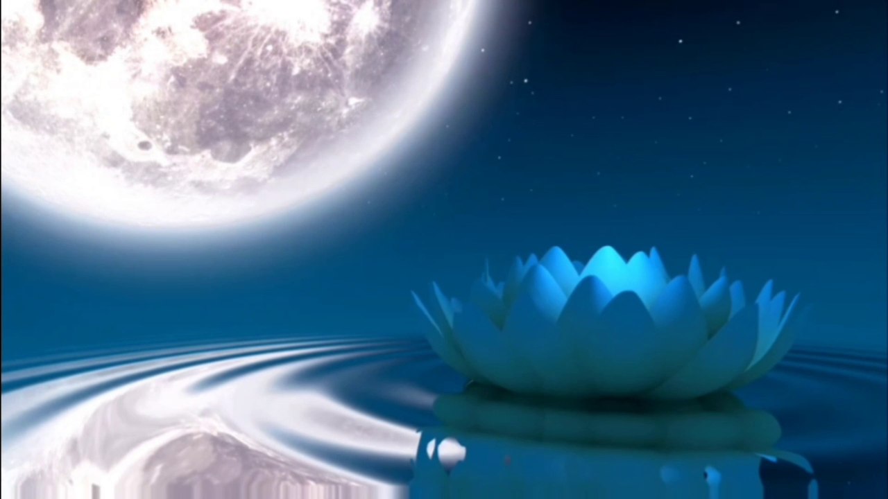 Relaxing video