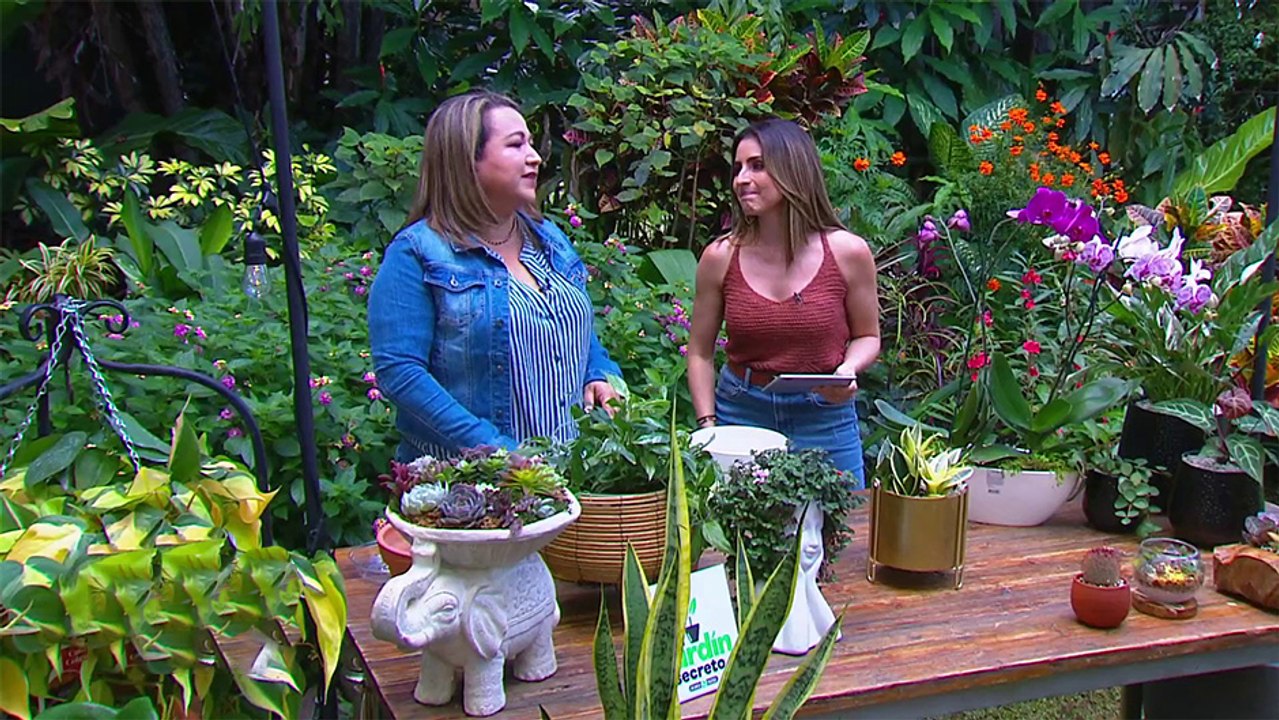 bd-cuidado-para-plantas-090824