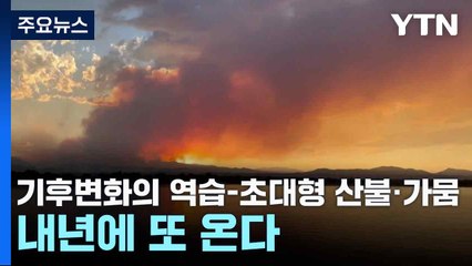 기후변화의 역습-초대형 산불·가뭄 내년에 또 온다 / YTN