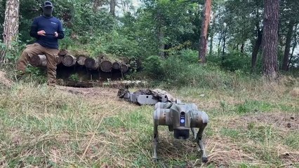 Robot dogs could be unleashed on Ukraine's front lines