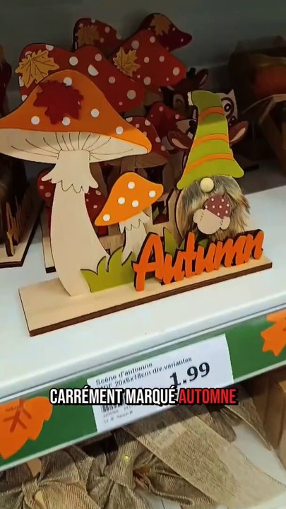  Déjà Halloween chez Action ? 