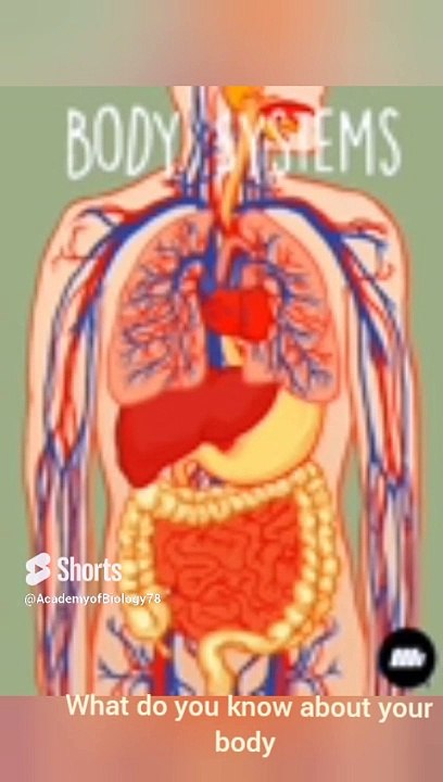 interesting facts about human body | human body facts | #shorts #viral #viralvideo #sciencefacts